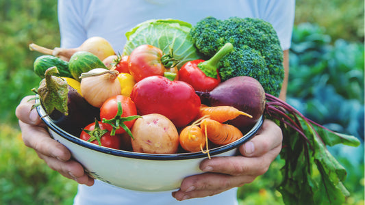 Los Beneficios de la Agricultura Orgánica