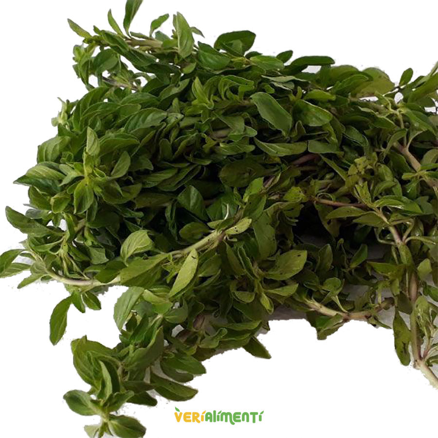 Oregano Atadito